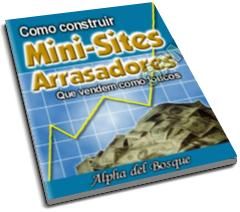 mini_site_arrasador